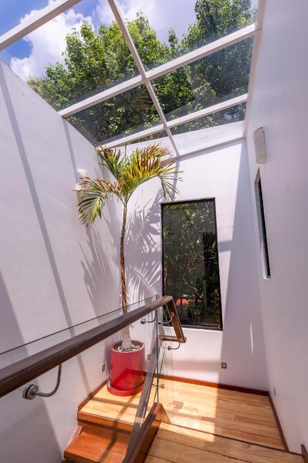 Casa Blanca In Coyoacan Cidade do México Exterior foto